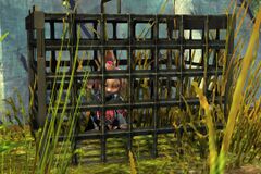 Inquest Prisoner.jpg