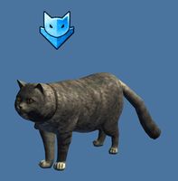 Mini Blue Catmander.jpg