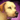 Mini Golden Labrador.png