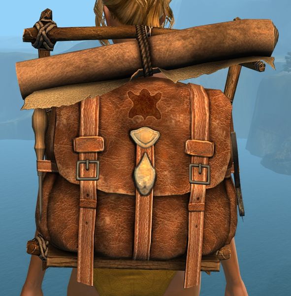 File:Practical Leatherworker's Backpack.jpg