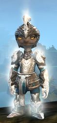 Radiant armor (heavy) asura female front.jpg