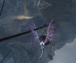 Rise and Shrine 32 location.jpg