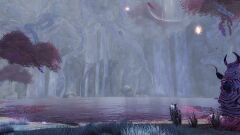 Secluded Pond.jpg