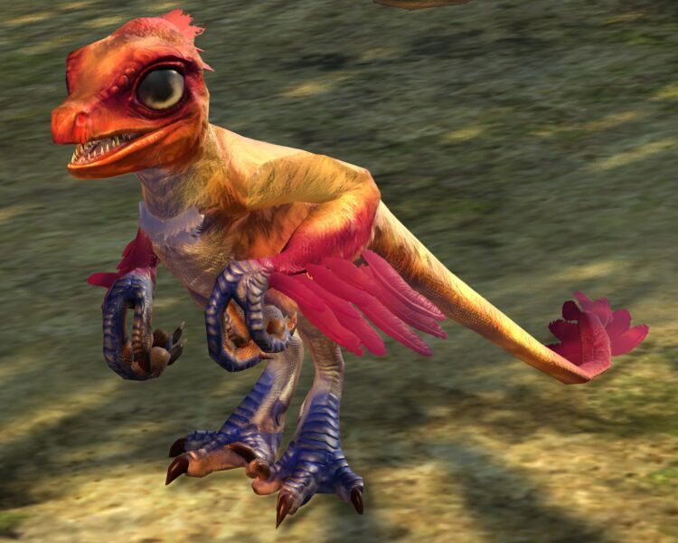 File:Swiftwing Hatchling.jpg