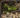 Uplands Oasis map.jpg