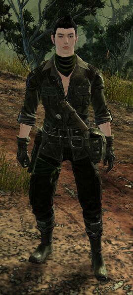 File:Wyvern Admirer.jpg