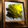 Yellow Color Study.png