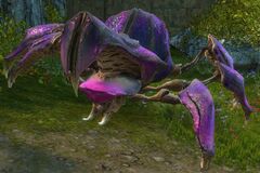 Abiri, the Beetle Queen.jpg