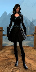 Appearance on light armor.