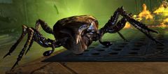 Bloated Plague Scarab.jpg