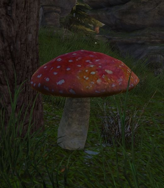 File:Cave Mushroom.jpg