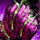 Clump of Destabilized Ectoplasm.png