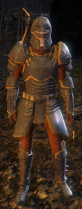 Commander Neal.jpg