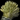 Dried Wheat.png