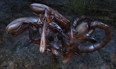 Fallen Warbeast.jpg
