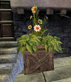 Thumbnail for version as of 19:03, 9 December 2012