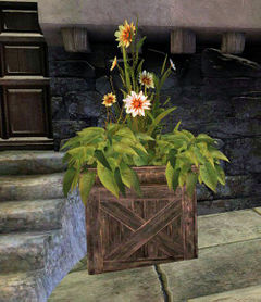 Flowers.jpg