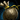 Hidden Hoard.png