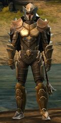 Lionguard human heavy 3.jpg