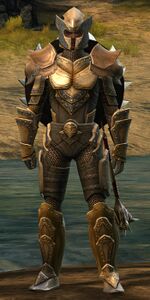 Lionguard human heavy 3.jpg