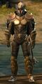 Human male variant.
