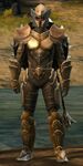 Lionguard human heavy 3.jpg