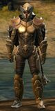 Lionguard human heavy 3.jpg