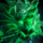 Luminous Warlord Nian.png
