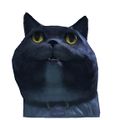 Mini Blue Catmander closeup.jpg