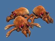 Mini Karka Hatchlings.jpg