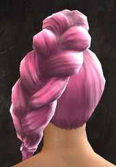 Unique norn female hair back 11.jpg