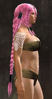 Unique norn female hair side 6.jpg
