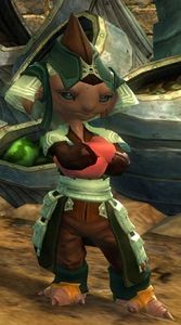 Yolla.jpg