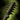 Ancient Boreal Mace.png