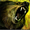 Biography Pet Bear (human).png