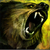 Biography Pet Bear (human).png