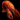 Boiled Crawdad.png