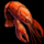Boiled Crawdad.png