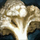 Head of Cauliflower.png