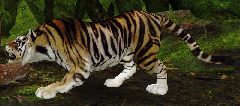 File:Legendary Chuka.jpg
