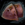 Rawhide Shoulders.png