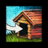 Send Home (Pet Skyscale).png