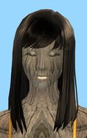 Toy-Shell Infusion face.jpg