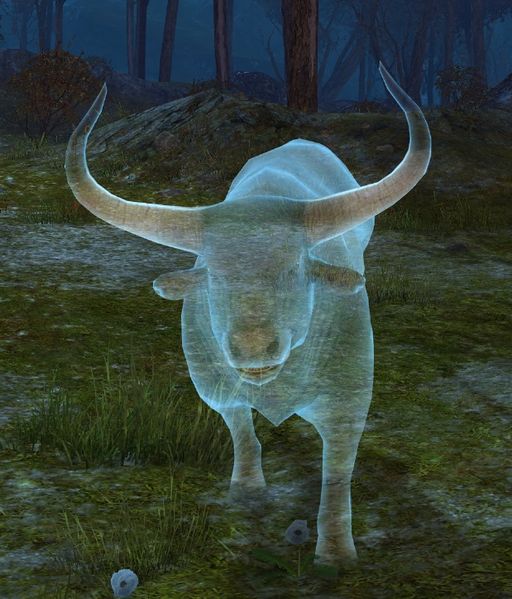 File:Veteran Ghost Bull.jpg