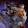 Canthan Tigris.png