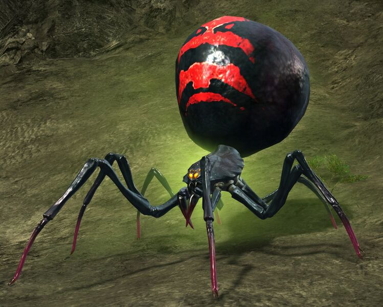 File:Champion Toxic Spider Queen.jpg
