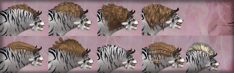 File:Charr-male-hairstyles-side.jpg