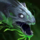 Dhuum Fish.png