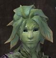 Exclusive hair - sylvari male 6.jpg