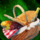 Feast basket tier 3.png